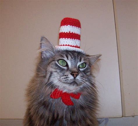 costume hats for cats|cat in the hat outfits.